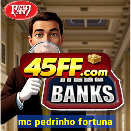 mc pedrinho fortuna